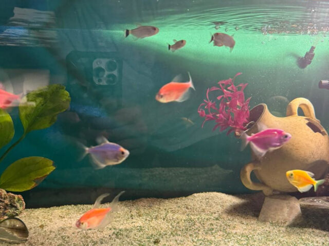 WhatsApp Image 2024-01-22 at 12.05.49