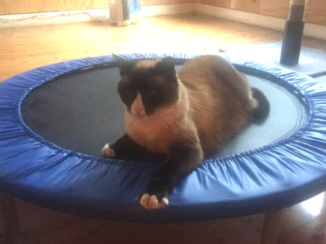 WhatsApp Image 2024-01-22 at 12.05.50